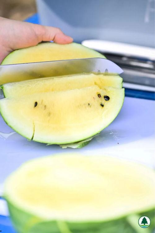 热点吃瓜,吃瓜群众如何解读明星事件