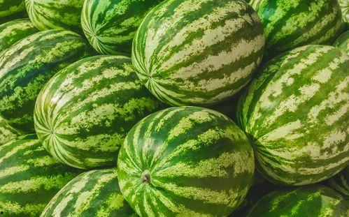 吃瓜网 吃瓜视频每日大赛