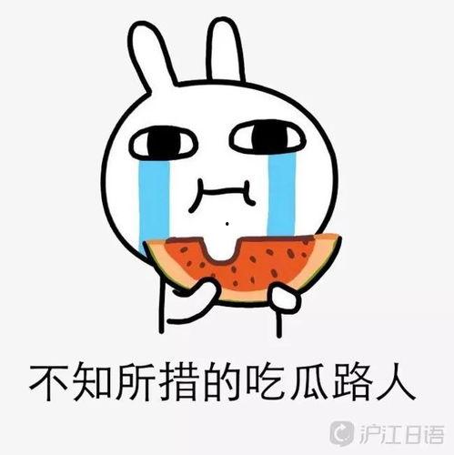 吃瓜大瓜事件,揭秘网络舆论狂欢背后的真相