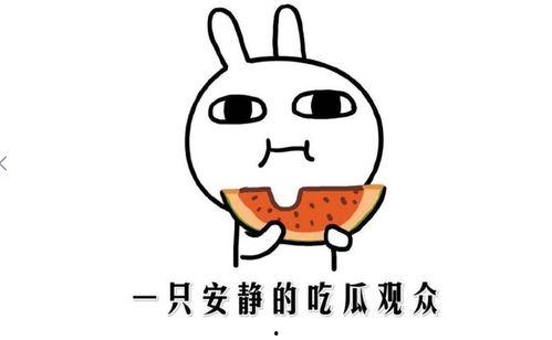 吃瓜是什么意思,网络热词背后的文化现象